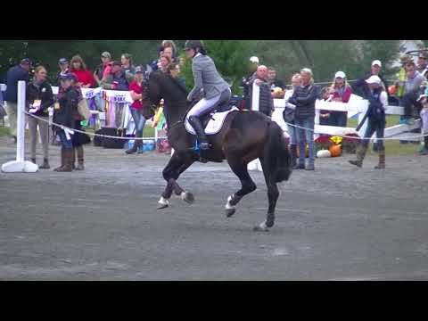 Jordan Lindstedt & Revitavet Capato CCI 3 star SJ