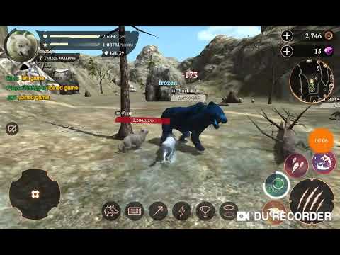 The wolf killing all big animals in green hills coop