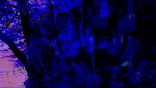 FLying Saucer Attack - The Whole Day