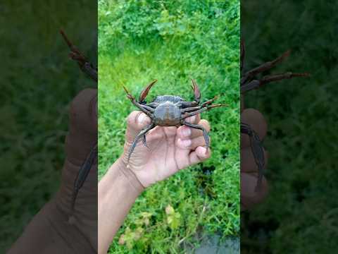 What is this ? 🤔🤔 #sujoy