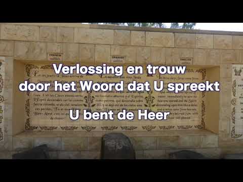 Opwekking 450 Laat uw kracht zien VV