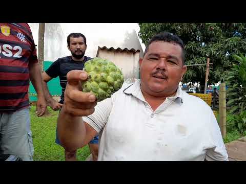 FEIRA NA CEASA DE TIANGUÁ-CE 23/4/2024