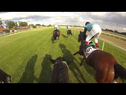 Eagret lovaglása versenyben (lovas: ifj. Kozma István)