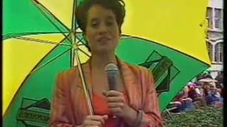 The Icicle Works - As The Dragonfly Flies