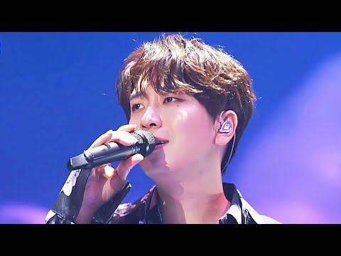 Forestella(포레스텔라) -  Shape of You