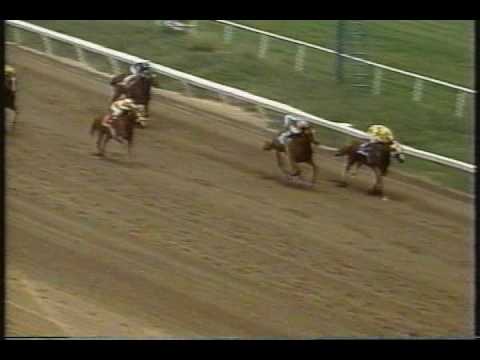 Slew of Damascus Hollywood Gold Cup 1994 - Seattle Slew's son (Triple Crown Winner)