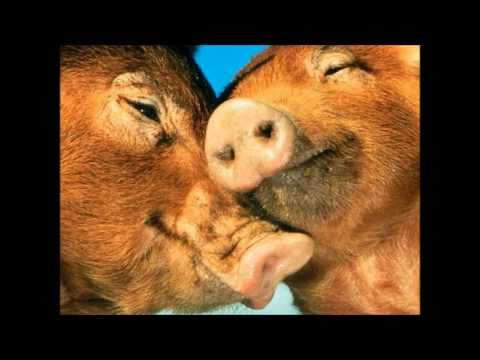 Marc Almond In your bed