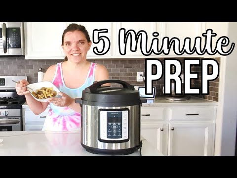 Quick and Easy Meatball Stroganoff in the Instant Pot