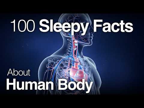 The Most Relaxing Facts About Human Body to Fall Asleep To