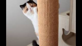 You need to lay off the caffeine or something.