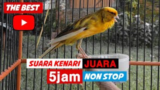 Download lagu full 5jam mp3 suara kenari gacor juara speed rapet || sangat cocok untuk pancingan atau masteran mp3