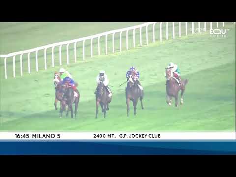 Premio Trofeo Pio Bruni - Gruppe 2