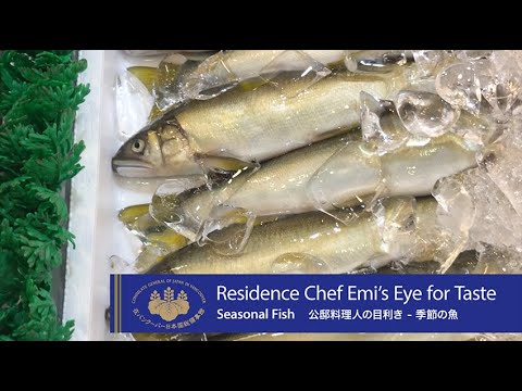 [El ojo del chef de la residencia Emi para el gusto: pescado de temporada]