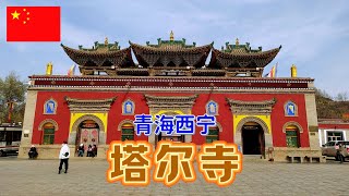 塔尔寺是西宁著名的藏传佛教寺庙,寺内各种建筑一千多座,是藏传佛教在中国西北地区的活动中心