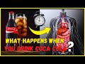 What Happens When You Drink COCA COLA Effects Of Coca Cola On Your Body