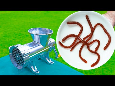 EXPERIMENT:  EARTHWORMS VS MEAT GRINDER