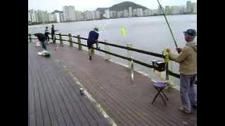preview picture of video 'Pesca de espada na plataforma de são vicente(SP).'