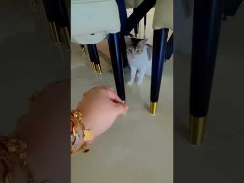 Ailsha Billy vs ☠️Me