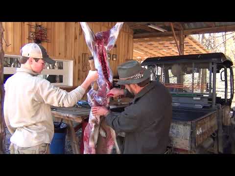 download lagu mp3 mp4 How To Debone A Deer, download lagu How To Debone A Deer gratis, unduh video klip How To Debone A Deer