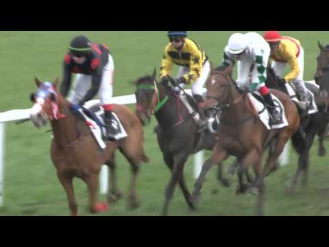 MI, 16. 4. 2016, 3. dostih - Cena města Mimoně