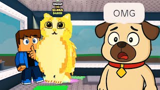 Video thumbnail image