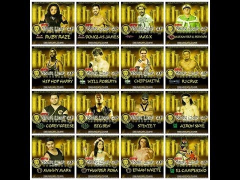 APW's 2015 Young Lions Cup