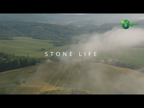 Stone Life