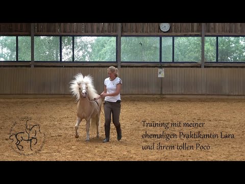Trainingsvideo mit meiner ehemaligen Praktikantin Lara Tauer