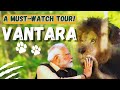 PM Modi Inaugurates Vantara In Jamnagar Gujarat