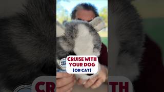 Take Your Dog (or Cat) On A Cruise! #Cruise