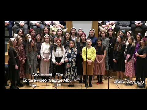 Adolescentii Elim Bruxelles