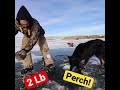 Video Thumbnail for 2 Lb Whale Perch Landed!