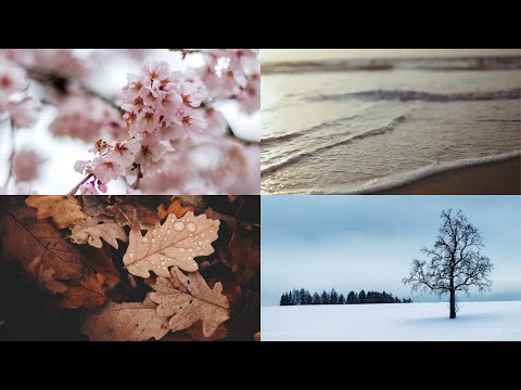 4 seasons in one hour - Relaxing Video with Music and Nature