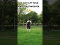 Don T Let Passion Takeover Shorts