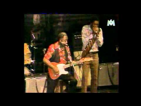 Thumbnail for Muddy Waters w/ Mojo Buford on Harp, Chicago 1981 by Muddy Waters