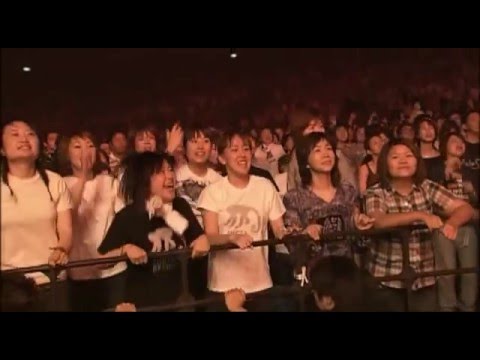 Tokyo Ska Paradise Orchestra "Tin Tin Deo" (Live)