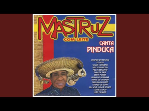 Carimbo no mato video