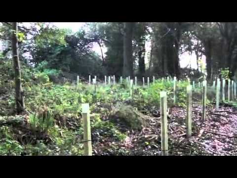 Explore our woodland habitat