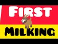 First Milking