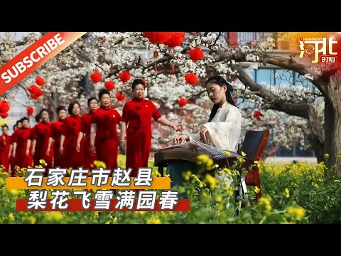 [Viagem Cultural] Recentemente, a cidade de Shijiazhuang recebeu 250,000 ienes do Templo Rinhua, e o número de visitantes aumentou, e o número de visitantes foi classificado como belo e belo. Origem @ Hebei Sunshine #Hebei #Viagem #Local Cênico #Cenário #Cura