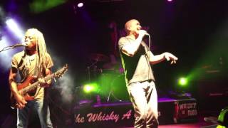 Dan Reed Network @ Whisky a Gogo - Doing the Love thing- The Brave