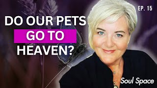 Do Our Pets Go To Heaven? - SOULSPACE EP. 15