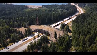 I-90 Snoqualmie Pass East: Critter Crossings in the Cascades