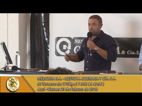 23-02-18 Venta de Machos - Consig. Melicura S.A. & Nestor I. Goenaga y Cía. S.A. Azul