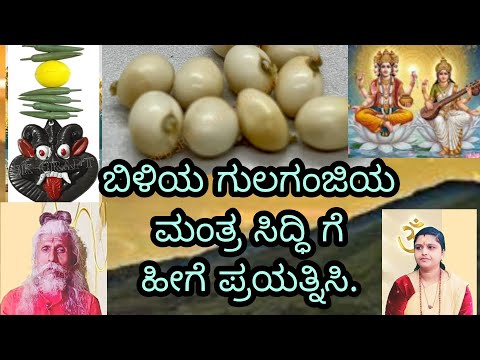 Gulaganji. White biliya Swetha bannadha . Manthra Siddhi Shakthi Pooja homa yajna yaga yoga