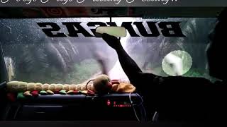 Download lagu Story wa lagu demi kowe versi soper truk... mp3 Download lagu Story wa lagu demi kowe versi soper truk... mp3