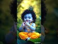 Radhe Radhe Shorts Kattarhindu Spiritualjourney Sanatandharma Bankebihari Radhakrishna