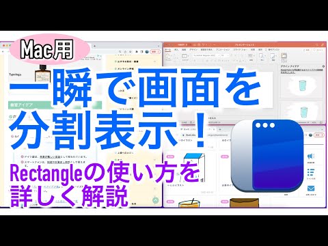 画面分割: ビューを半分にする方法 (Windows および Mac)
