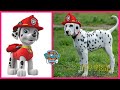 PAW PATROL Characters That Exist In Real Life 👉@TupViral