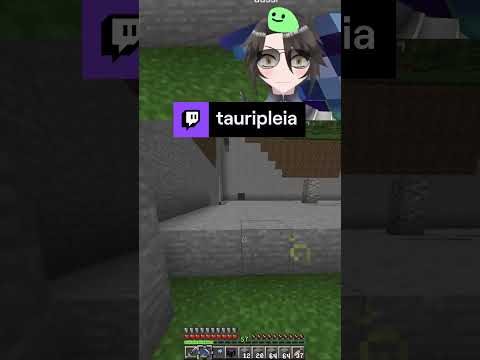 TAURI PLEIA - You'll never see it coming #fyp #twitch #persona5 #minecraft